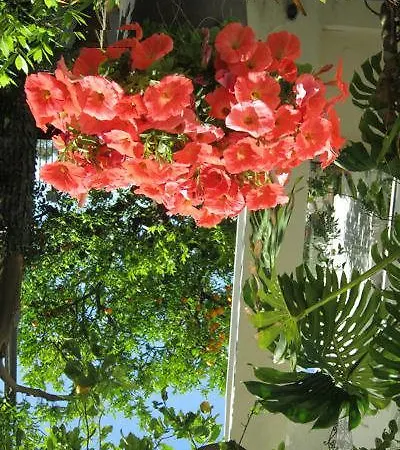 Albergo Italia - Vintage Hotel 2* Capri